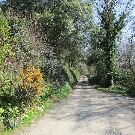 Higher Coombe Bed & Breakfast Bovey Tracey Exterior photo