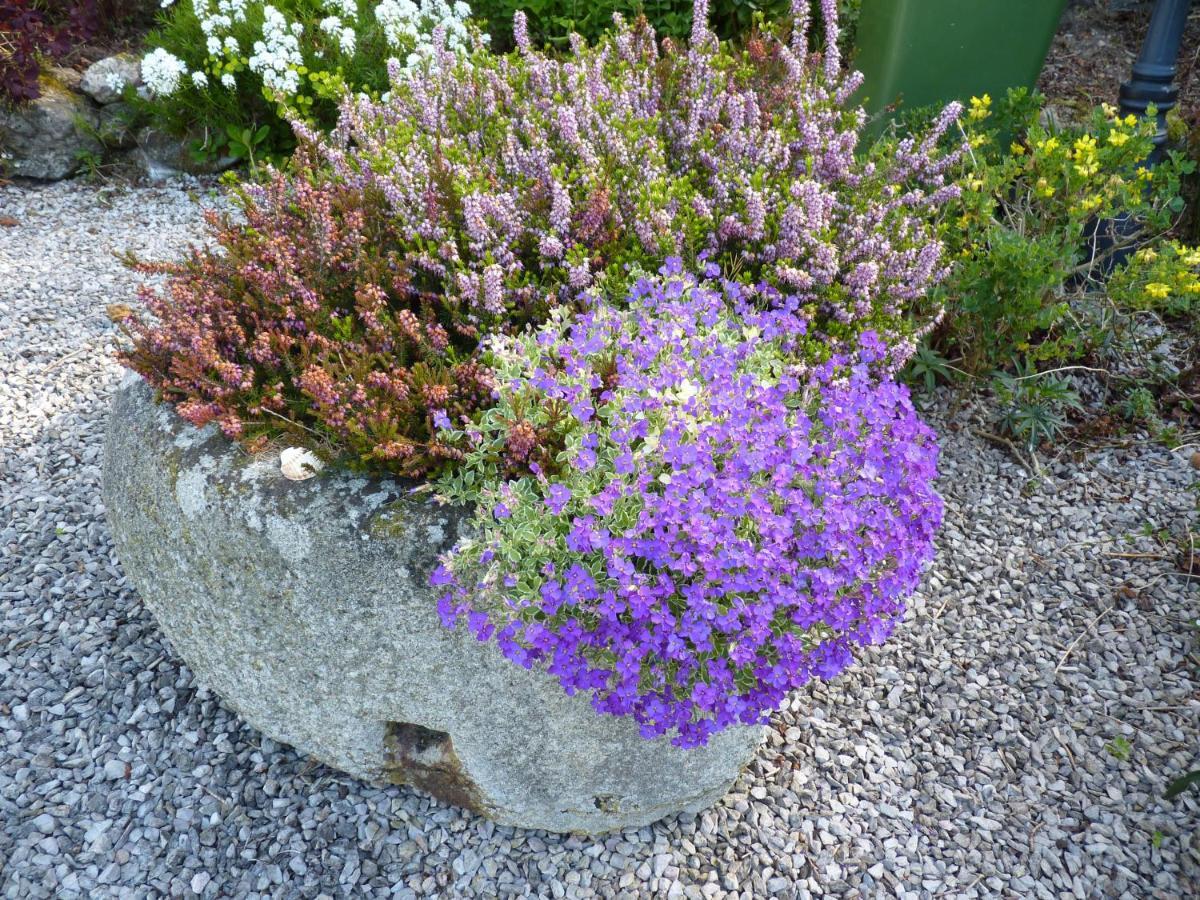 Higher Coombe Bed & Breakfast Bovey Tracey Exterior photo