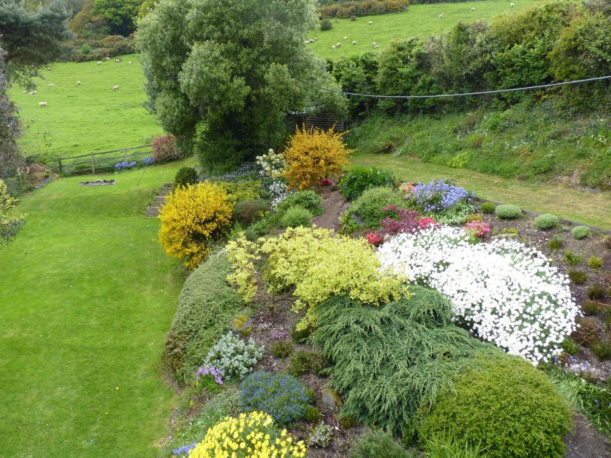 Higher Coombe Bed & Breakfast Bovey Tracey Exterior photo