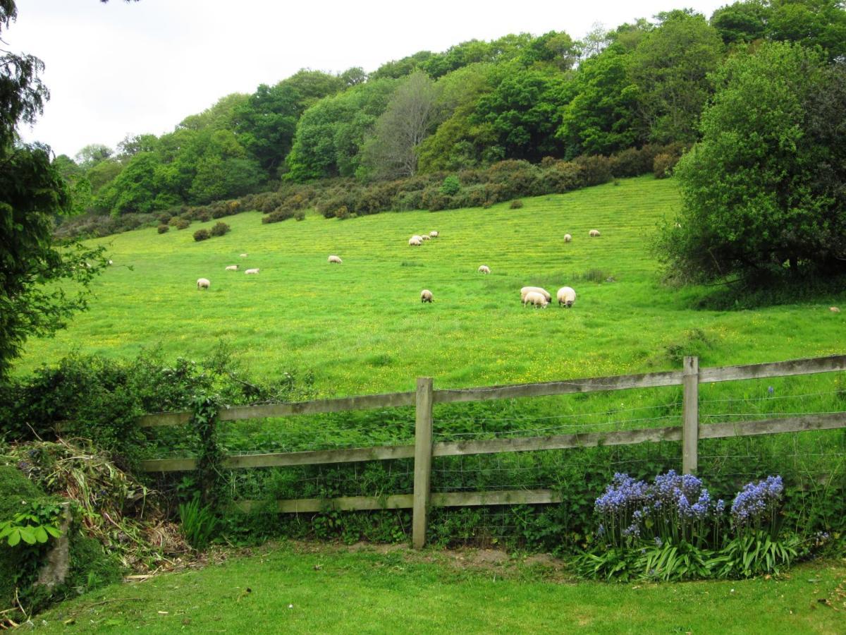 Higher Coombe Bed & Breakfast Bovey Tracey Exterior photo