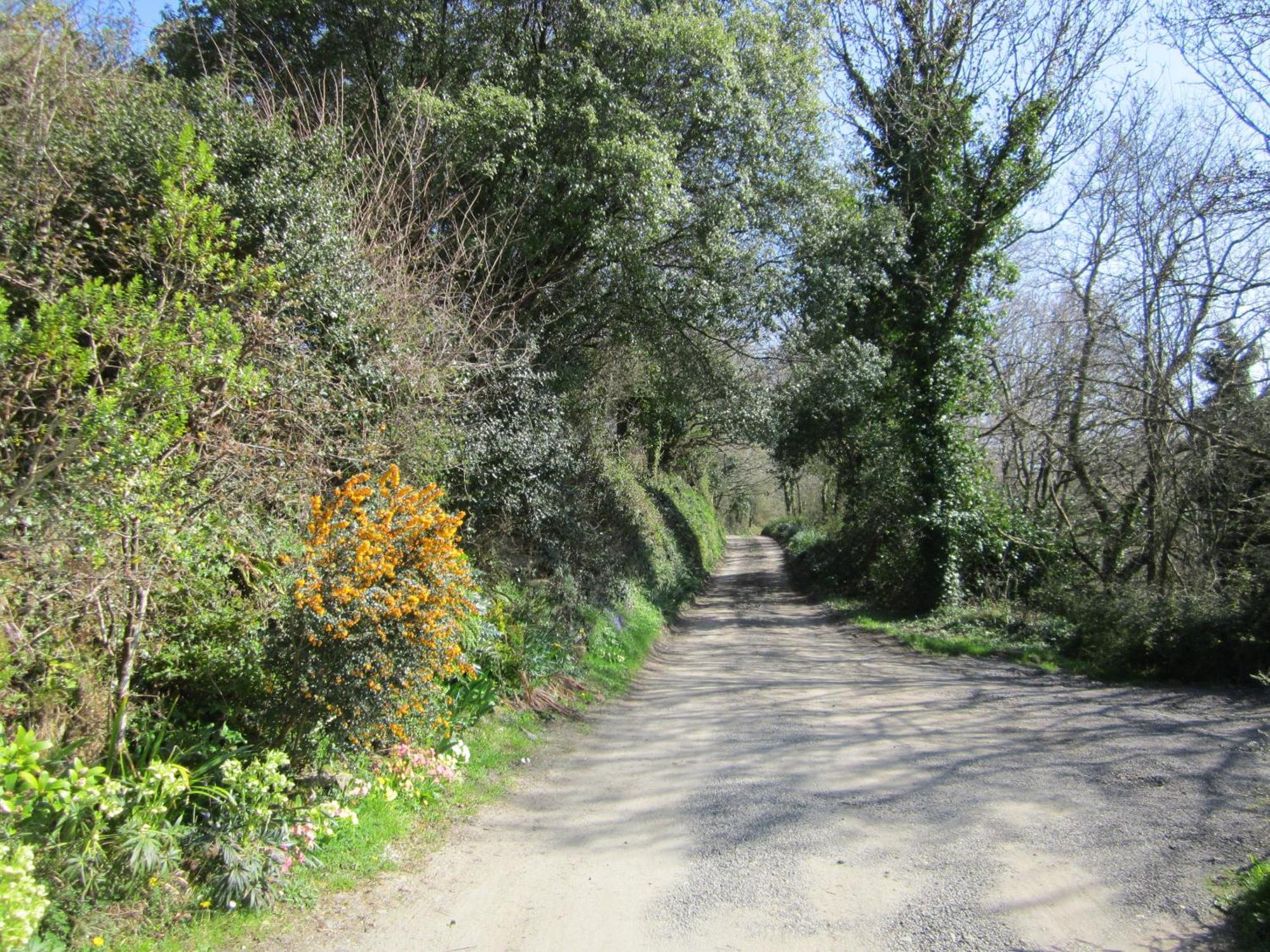 Higher Coombe Bovey Tracey Exterior photo